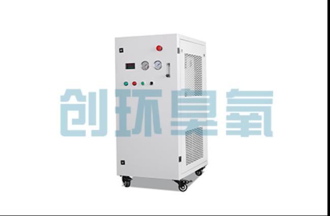 盐山工厂化养鲈必看:2026年臭氧发生器替代传统消毒的最新方案