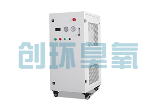盐山石斑鱼养殖水质调控完整指南:臭氧发生器配置与操作步骤
