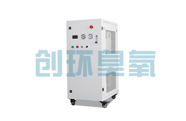盐山比传统换水更高效?臭氧发生器在石斑鱼养殖中的水质净化原理解析